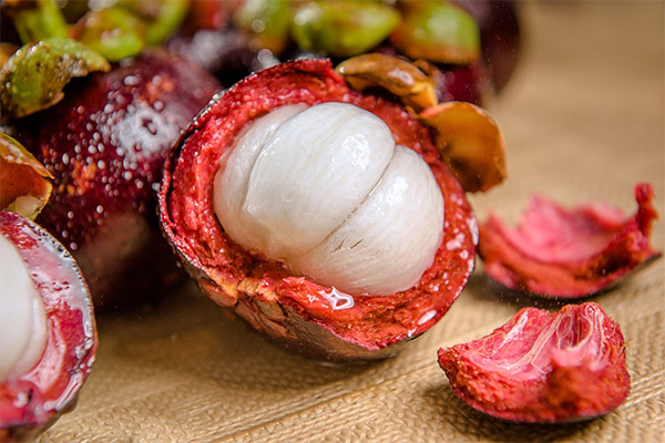 Mangosteen Γεγονότα