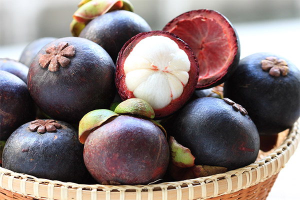 Πώς να επιλέξετε και να αποθηκεύσετε το Mangosteen