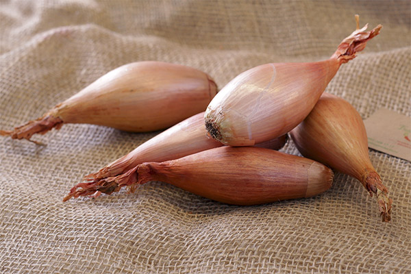 Shallots în medicina tradițională