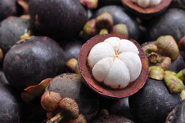 Mangosteen στην παραδοσιακή ιατρική