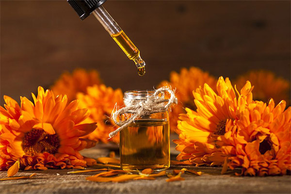 Calendula Oil