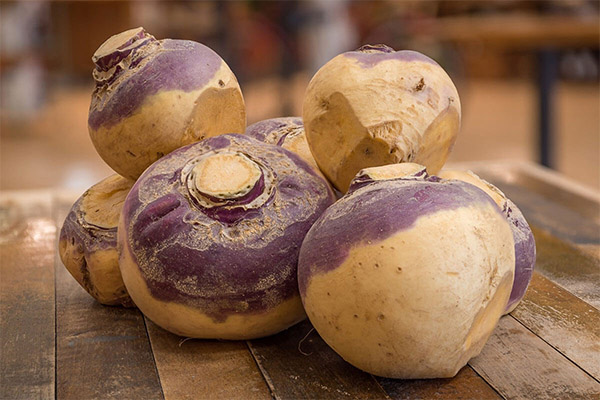 Derīgās rutabaga īpašības