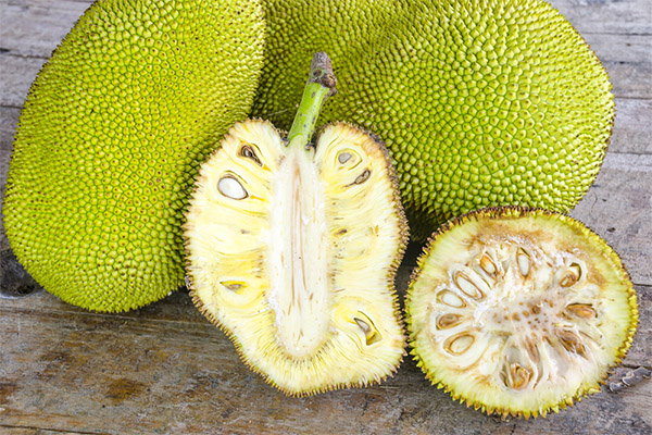 Jackfruit priekšrocības un kaitējums