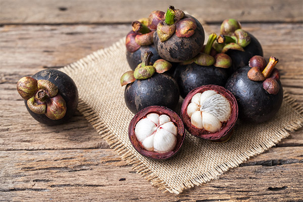 Οφέλη και βλάβες του φρούτου mangosteen