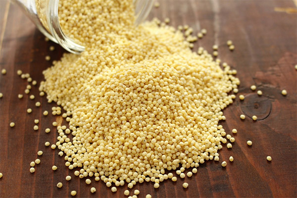 Millet in medicine