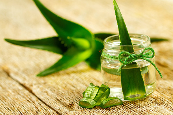 Aloe healing compositions