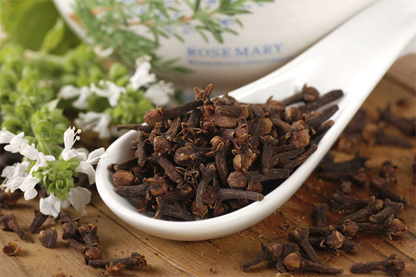 Cloves in medicine