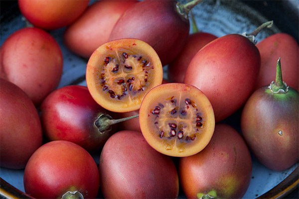 Comment choisir et conserver le tamarillo