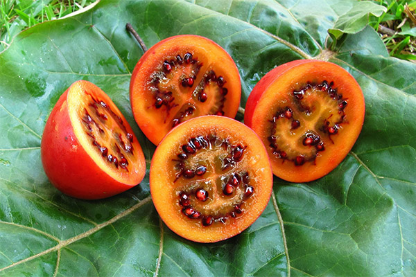 Užitočné vlastnosti ovocia tamarillo