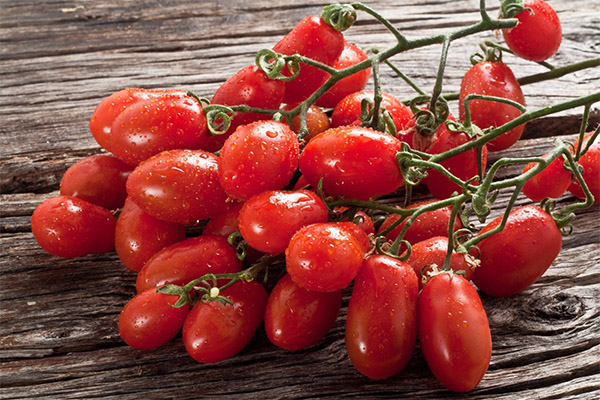 Les avantages et les inconvénients des tomates cerises