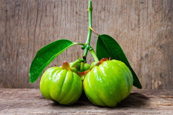 Τι μπορεί να γίνει από Garcinia