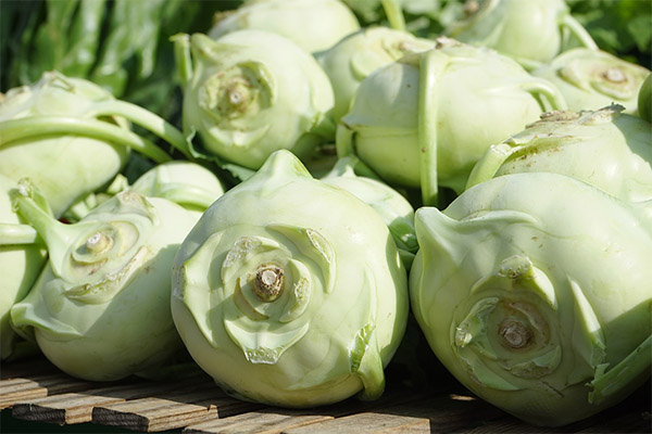 Πώς να επιλέξετε και να αποθηκεύσετε το Kohlrabi