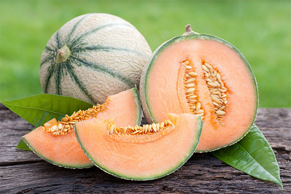 Cantalup