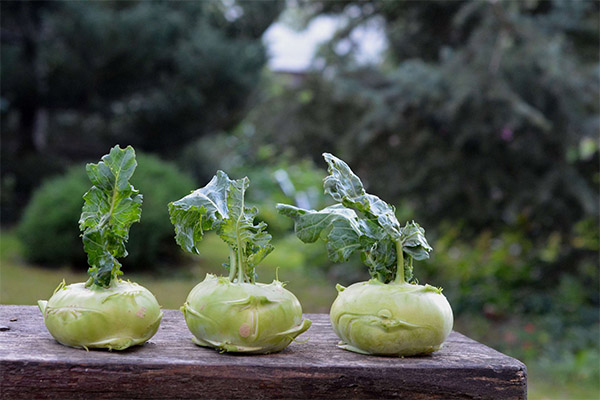 Kohlrabi în medicină