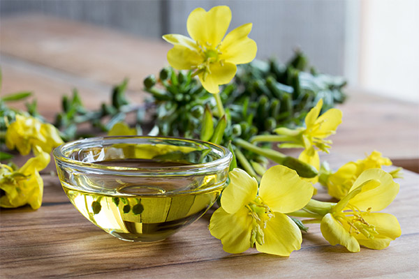 Evening primrose oil