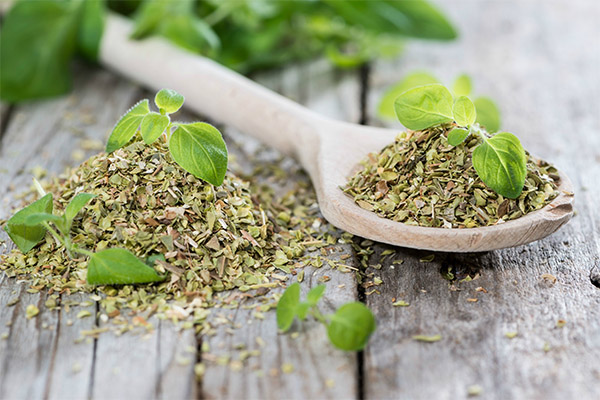 Useful properties of marjoram