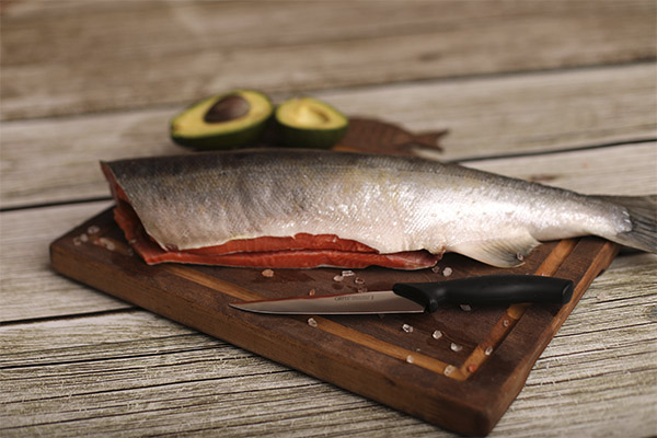 Τι να μαγειρέψετε σολομό Coho