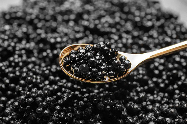 Cum să serviți și să mâncați caviar negru