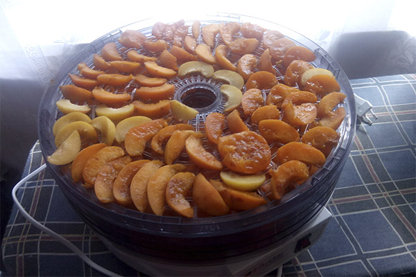 How to Dry Apricots in a Dryer