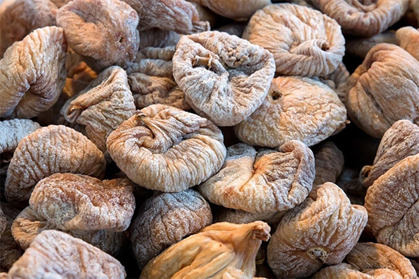 How to Dry Figs in a Dryer