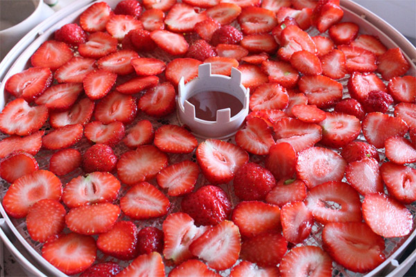 How to Dry Strawberries in an Electric Dryer