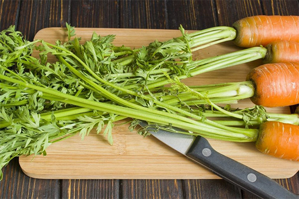 Drying carrot tops