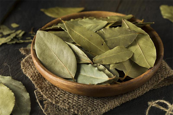 Where to use dried bay leaf