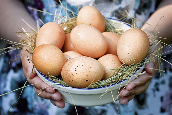 Olu priekšrocības grūtniecības laikā