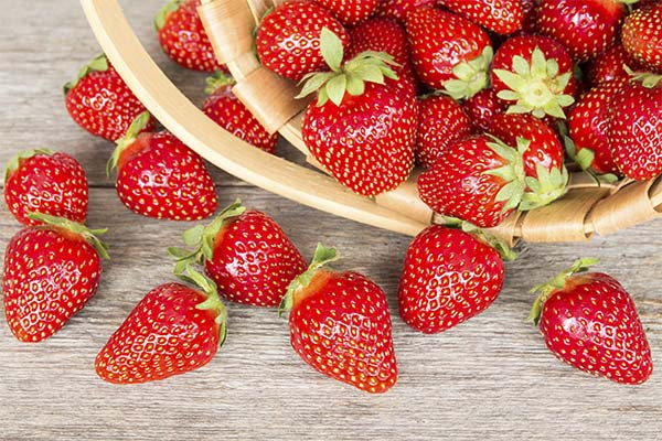 L'utilité des fraises pendant la grossesse