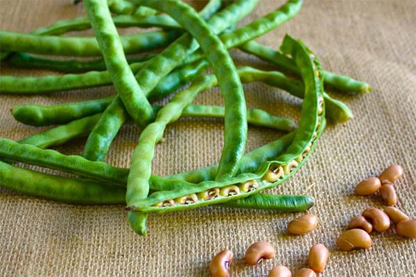 Les bienfaits des haricots verts pendant l'allaitement