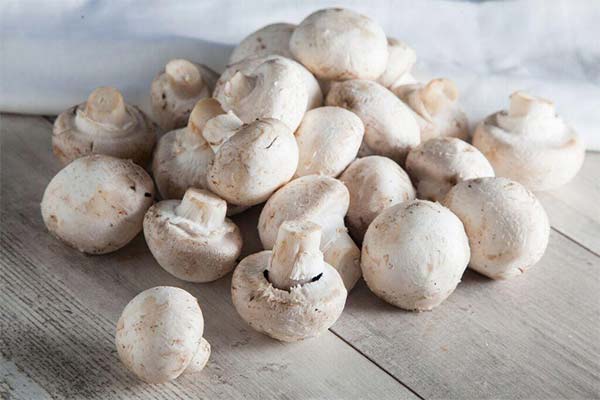 Les champignons pendant l'allaitement