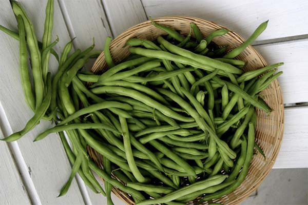 Haricots verts