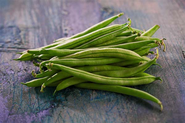 Haricots verts pendant l'allaitement