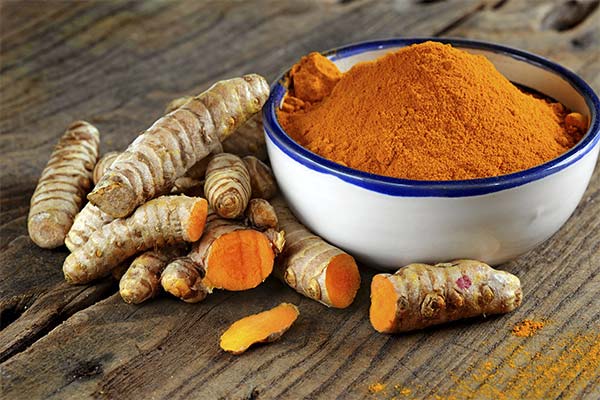 What is turmeric