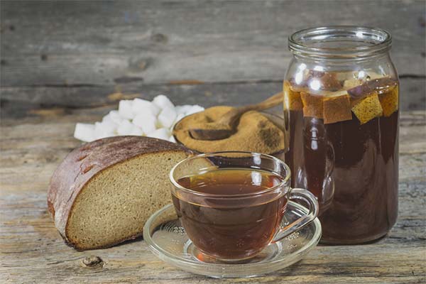 How to Use Kvass