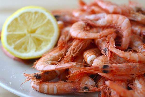 Comment choisir et conserver les crevettes