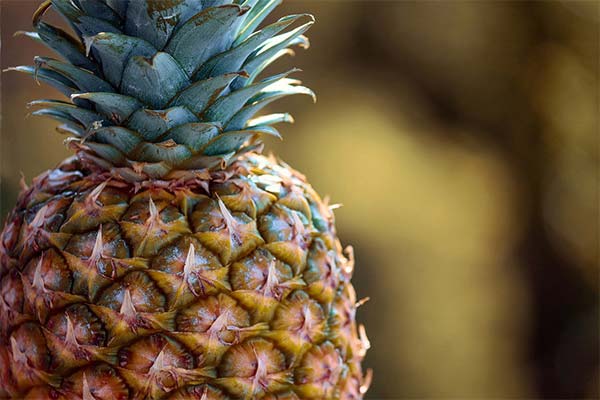 Comment choisir un ananas mûr dans un magasin ?