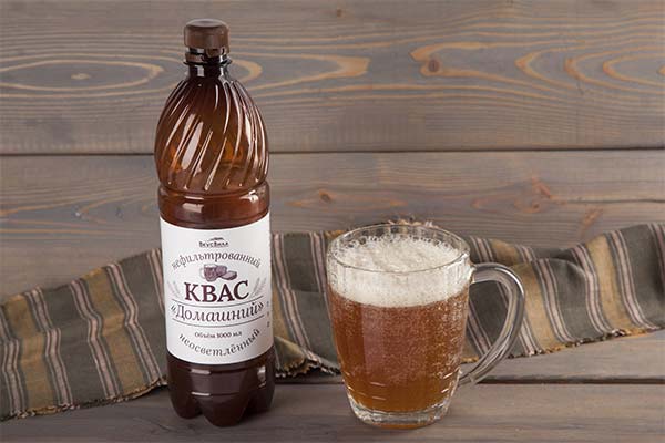 Can kvass harm a future mother?