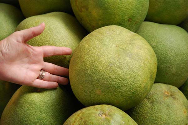 Πώς να επιλέξετε ένα ώριμο pomelo σε ένα κατάστημα