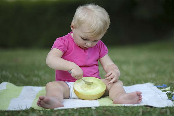 What melons to feed kids