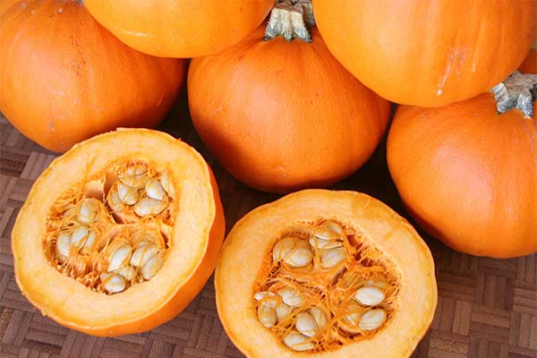 Useful properties of pumpkin