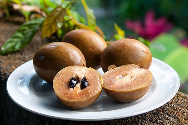 Ką galima pagaminti su sapodilla