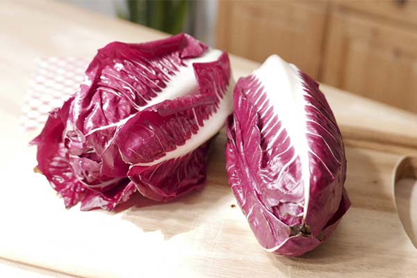 Kā ēst radicchio salātus