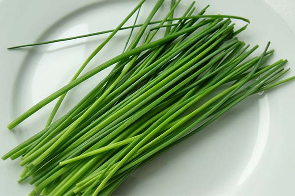 Chives