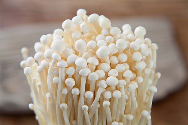 De ce ajută ciupercile Enoki Mushrooms