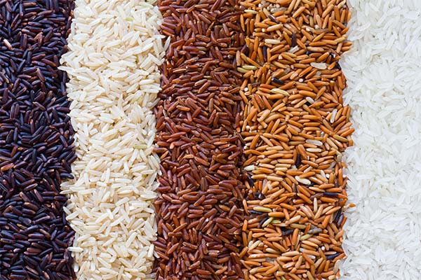 Rice Types