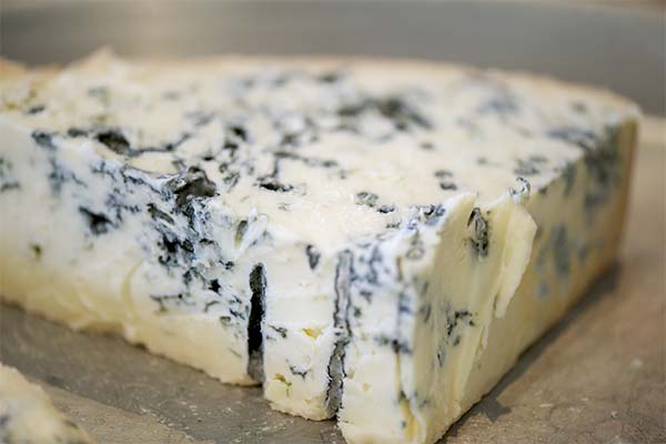 Ενδιαφέροντα στοιχεία για την gorgonzola