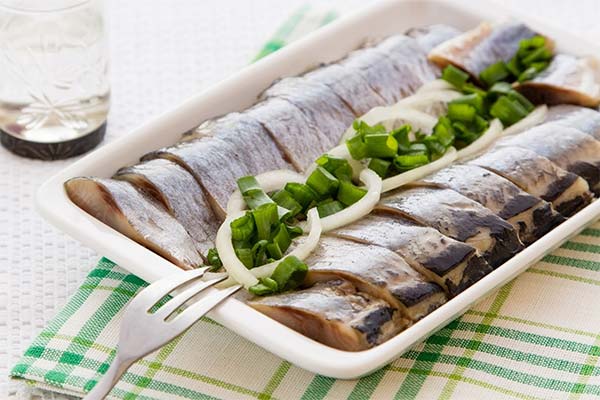 Oversalted Herring