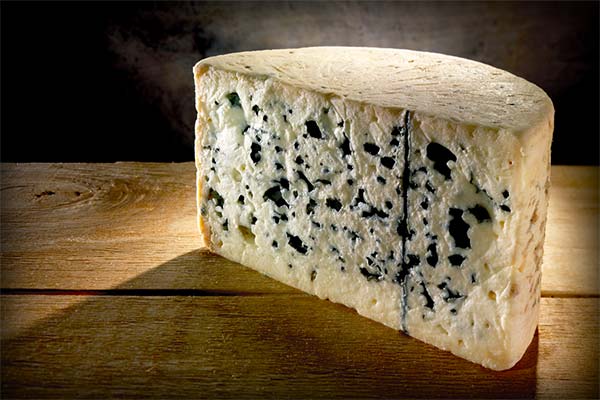 Roquefort Cheese