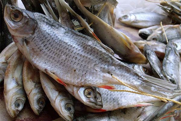 How to store dried fish